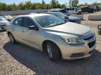 CHEVROLET MALIBU LS photo