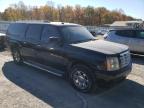 Lot #3025807310 2004 CADILLAC ESCALADE E