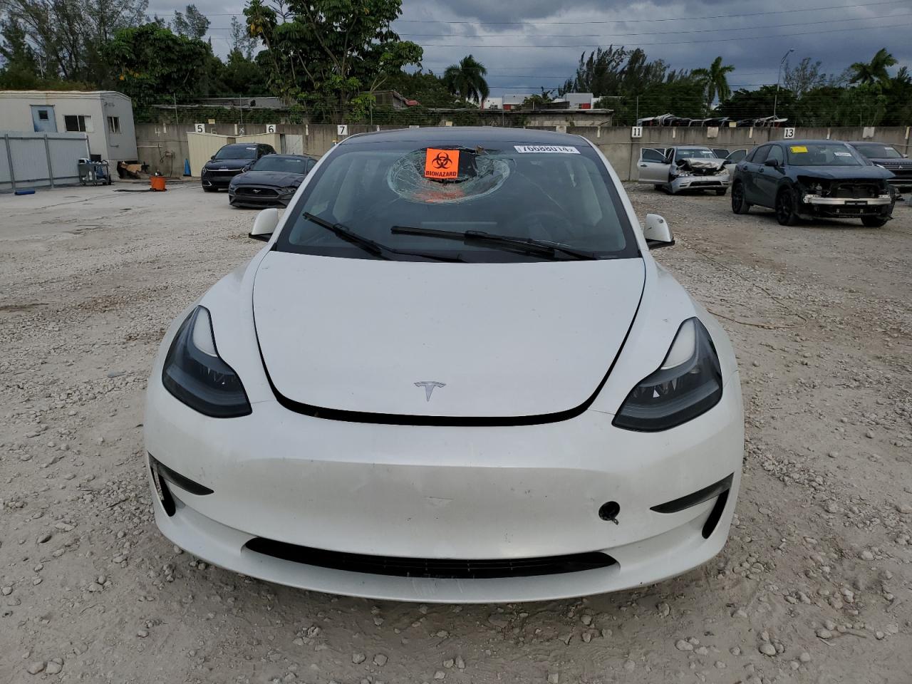 Lot #3027013829 2023 TESLA MODEL 3