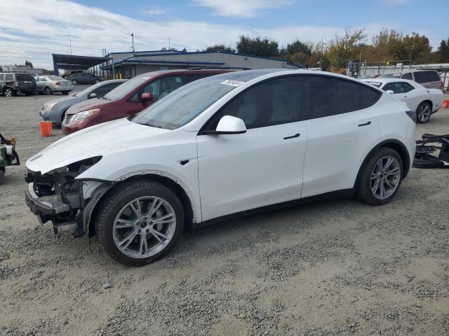 2021 TESLA MODEL Y #3030385481