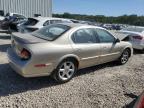 Lot #3024523355 2000 NISSAN MAXIMA GLE