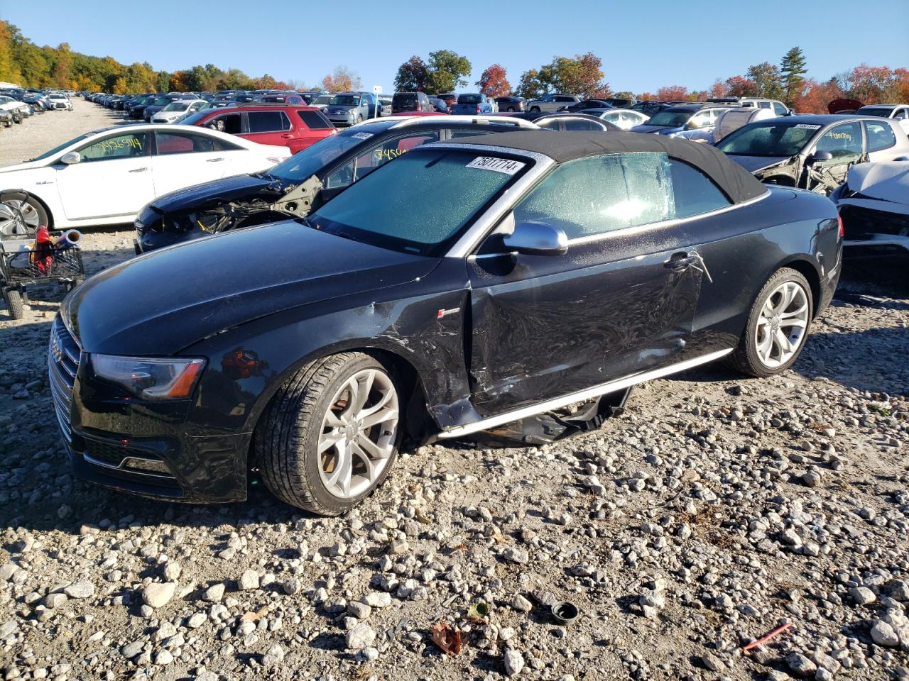 Audi S5 2014 