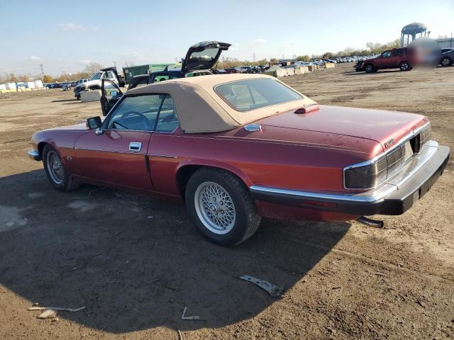 JAGUAR XJS 1993 red  gas SAJNW4745PC186021 photo #3