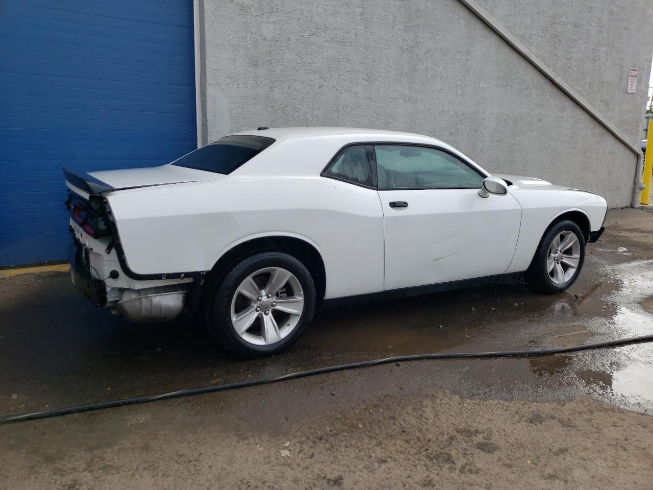 Lot #2948392922 2023 DODGE CHALLENGER