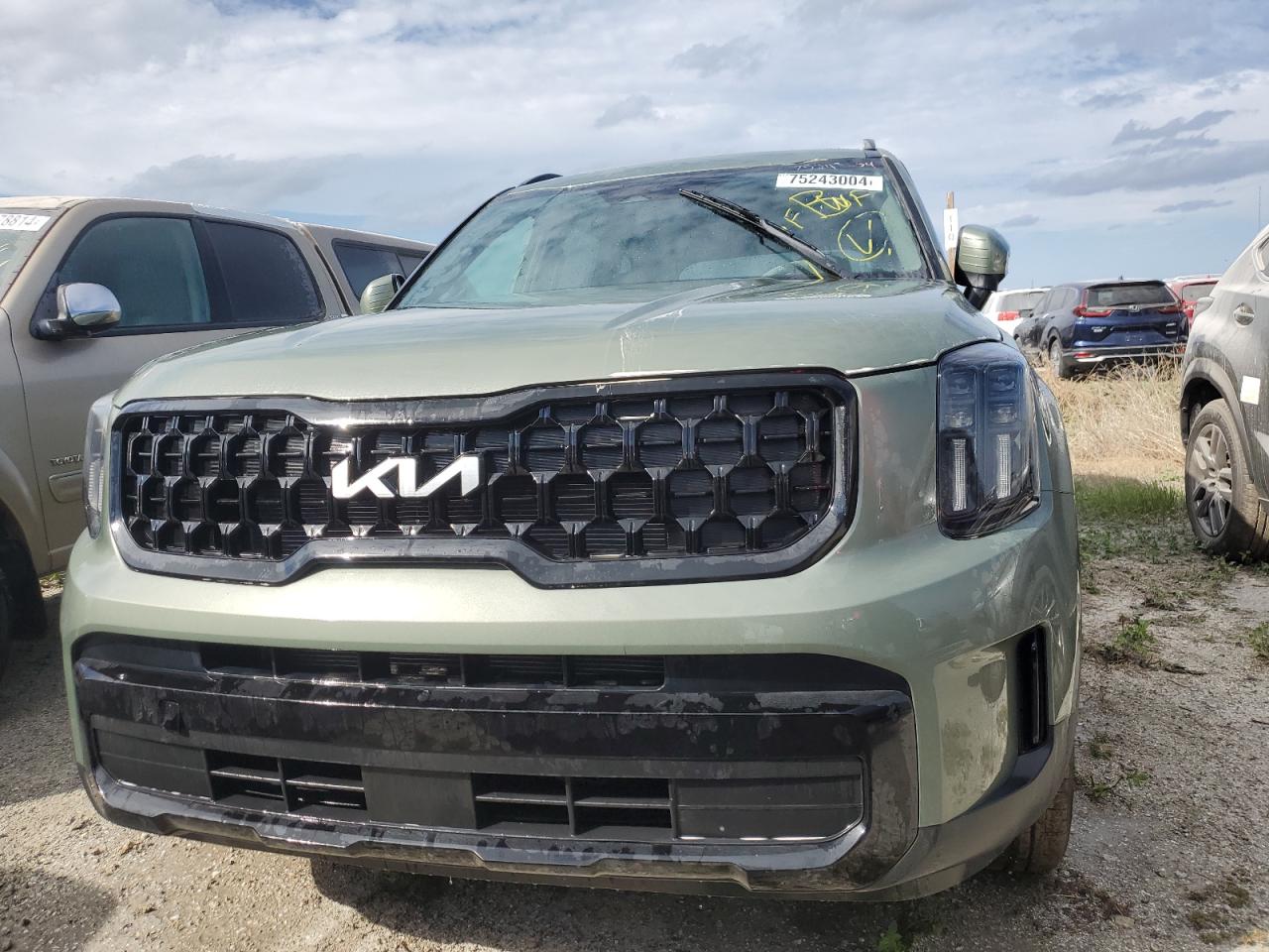 Lot #3008079833 2024 KIA TELLURIDE