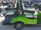 Lot #3027374809 2020 ASPT GOLF CART