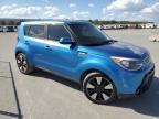 KIA SOUL + photo