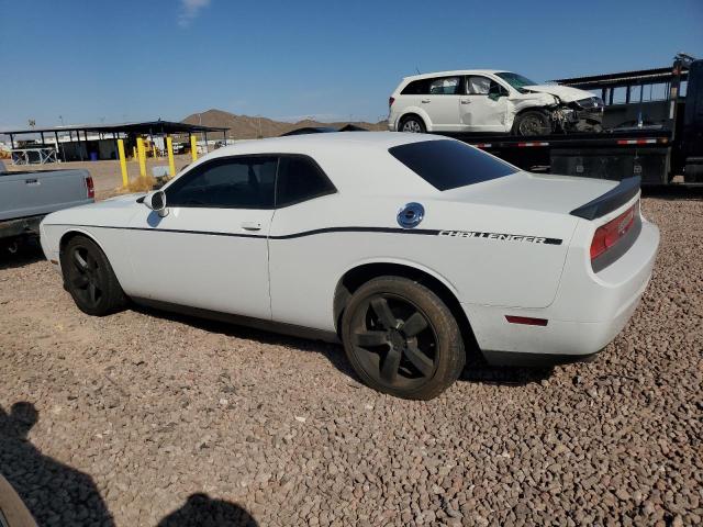 VIN 2C3CDYAG1DH670254 2013 Dodge Challenger, Sxt no.2