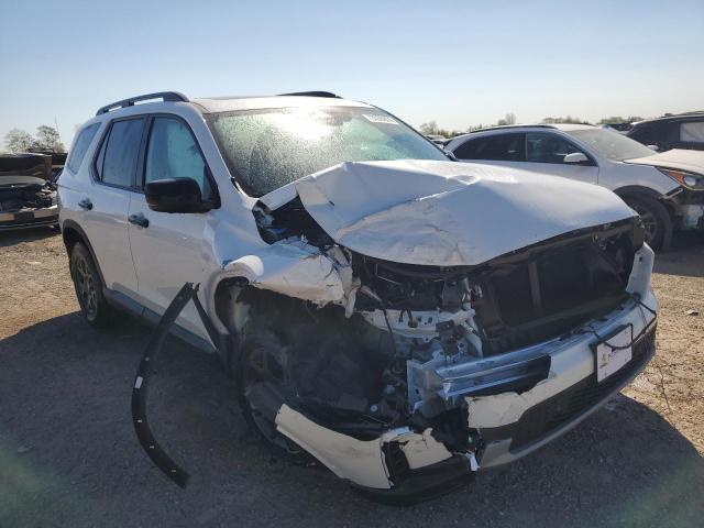 2024 HONDA PILOT TRAI - 5FNYG1H65RB008641