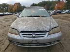 Lot #3024854362 2002 HONDA ACCORD EX