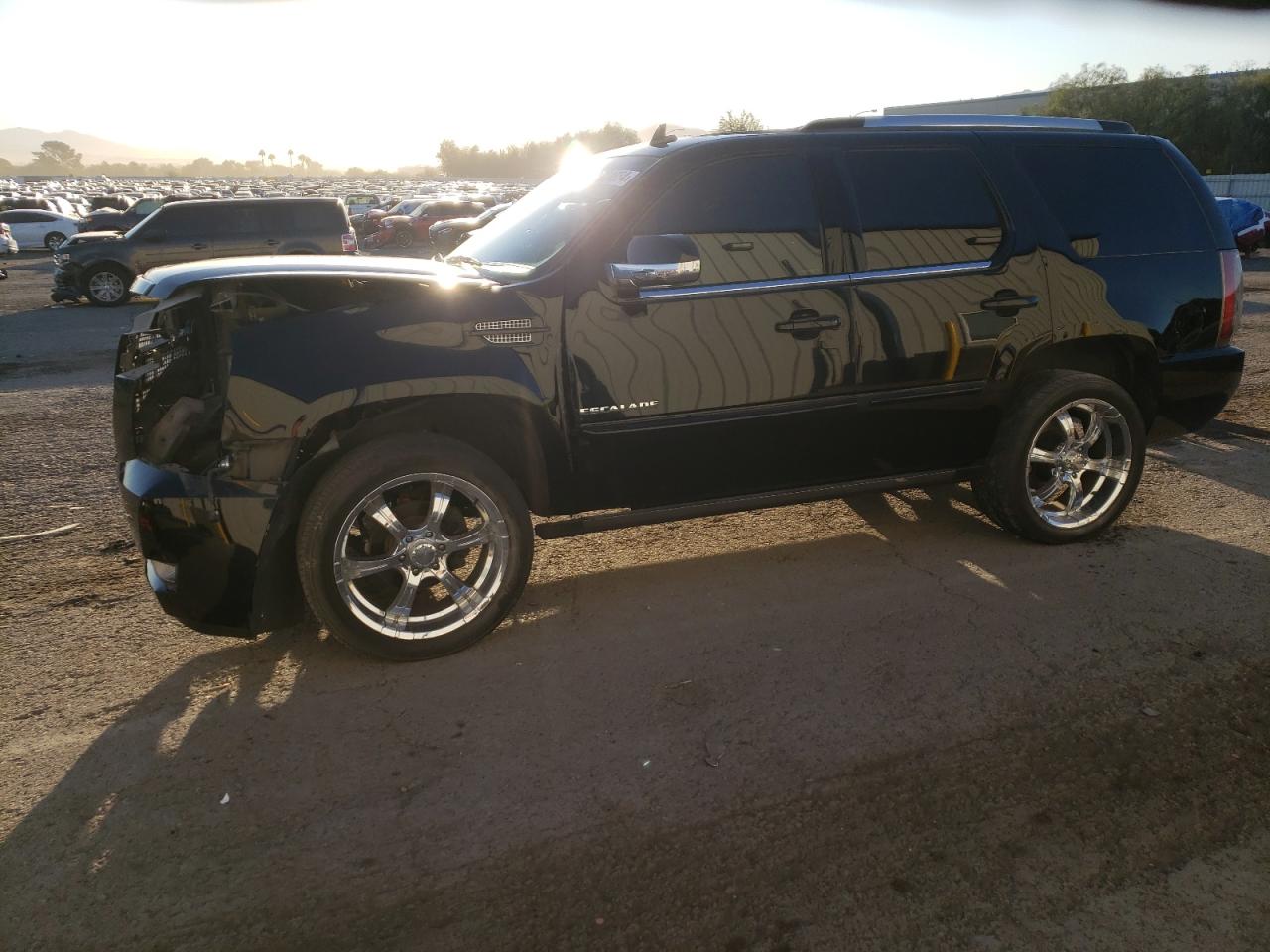 Lot #2888547144 2014 CADILLAC ESCALADE P