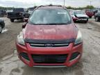 Lot #3023724893 2013 FORD ESCAPE TIT