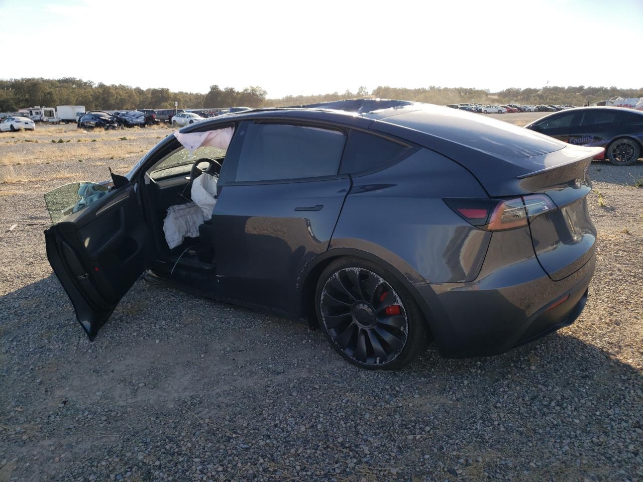 Lot #2974858082 2023 TESLA MODEL Y