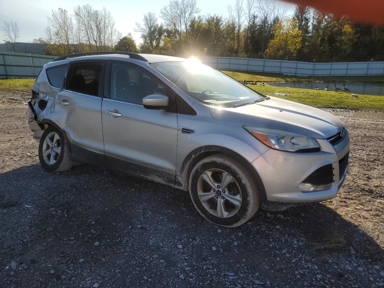 Lot #2989158099 2014 FORD ESCAPE SE