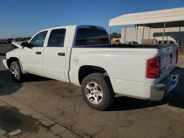 DODGE DAKOTA QUA 2006 white  gas 1D7HE48N46S502721 photo #3