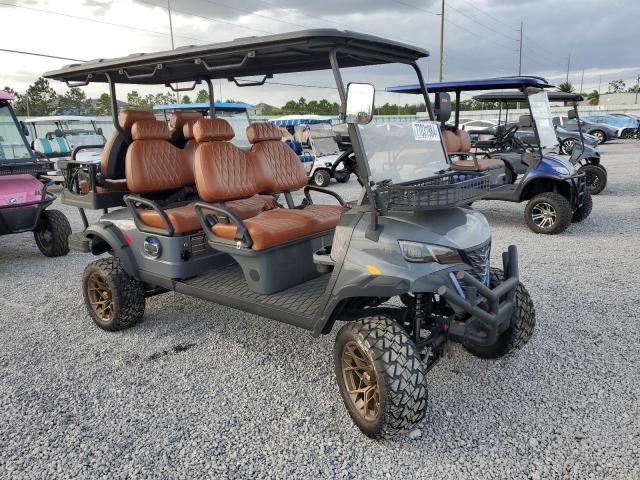 2024 OTHR GOLF CART #3025055187