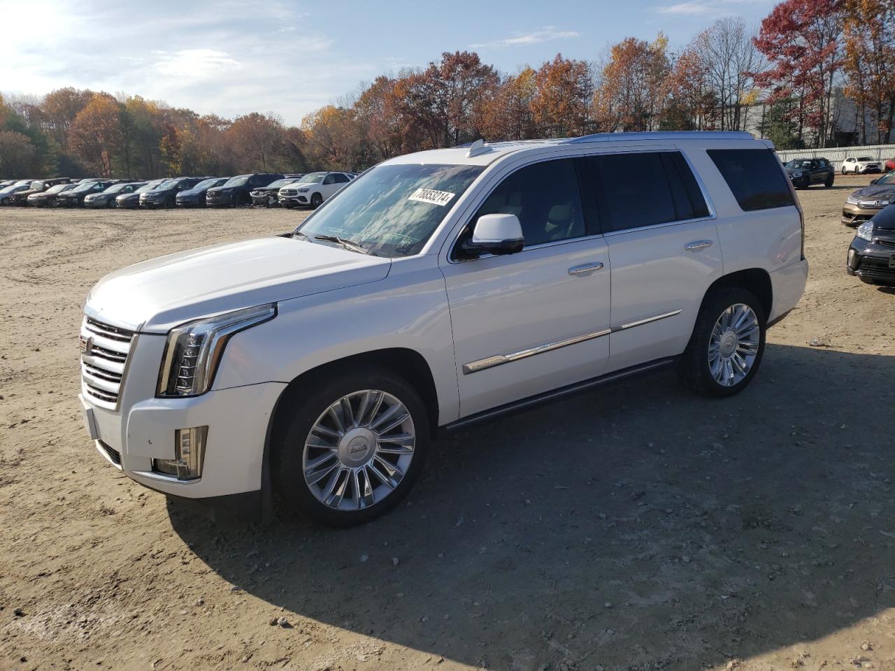 Lot #2955056788 2016 CADILLAC ESCALADE P