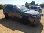 TOYOTA RAV4 LE photo