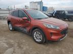 FORD ESCAPE SE снимка