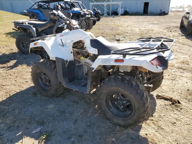 TRAC 450 2022 white   RFB22ATVXNK6E0176 photo #4