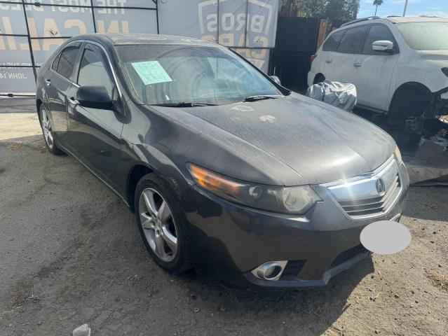 ACURA TSX 2013 gray sedan 4d gas JH4CU2F48DC007689 photo #1