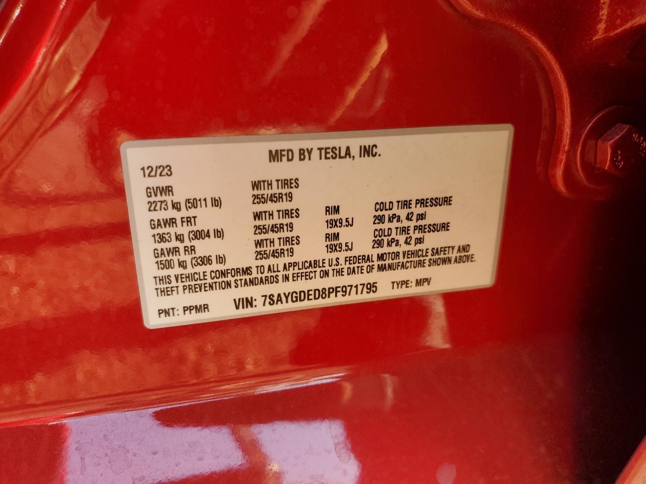 Lot #2990977235 2023 TESLA MODEL Y