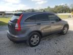 HONDA CR-V EX photo