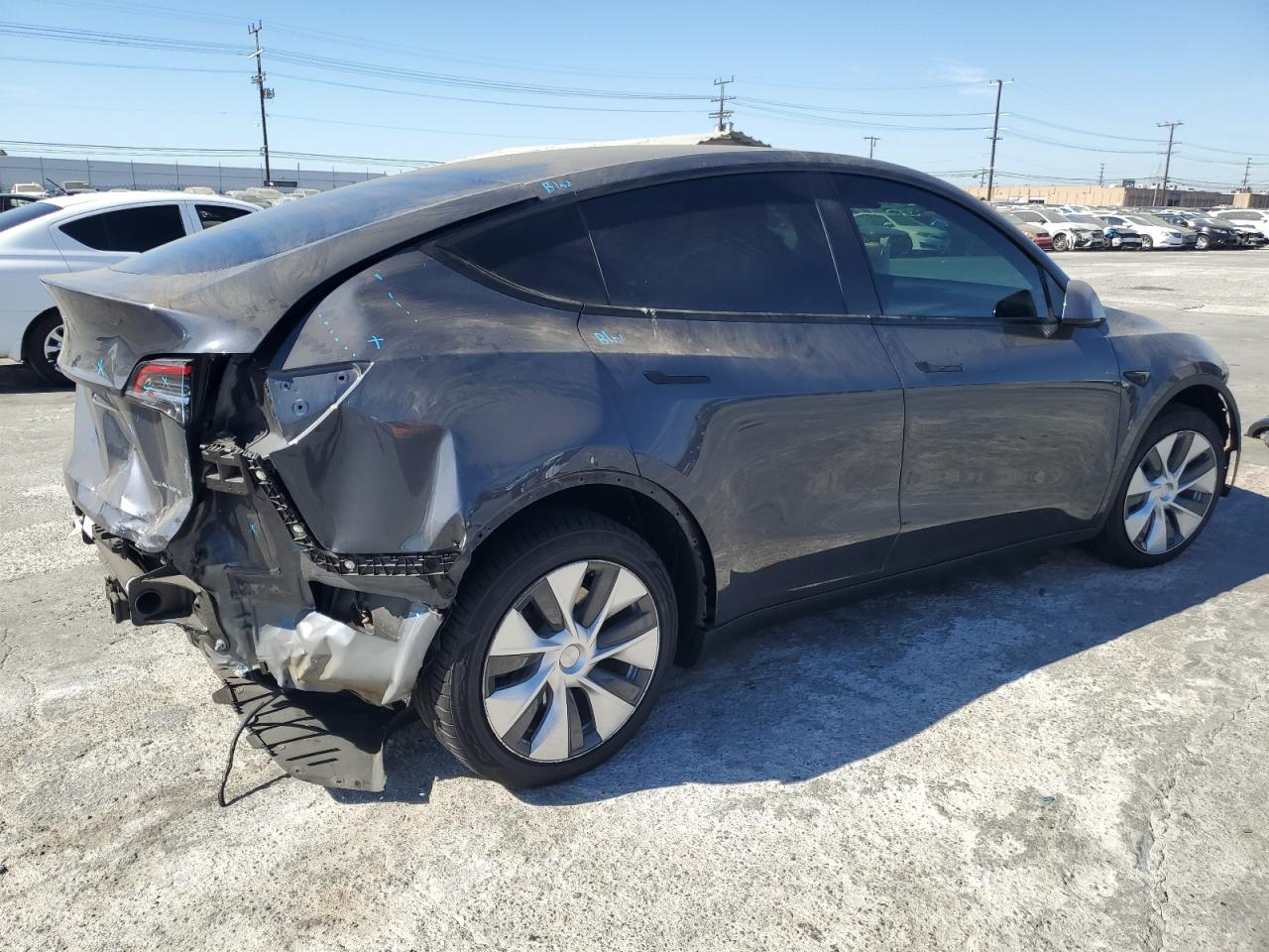 Lot #2991736979 2021 TESLA MODEL Y