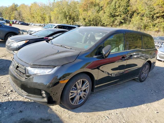 HONDA ODYSSEY SP 2024 black  gas 5FNRL6H78RB059685 photo #1