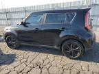 KIA SOUL + photo