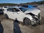 Lot #3033074000 2017 HONDA ACCORD EX