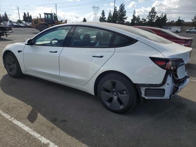 Vin: 5yj3e1ea1pf598293, lot: 78103684, tesla model 3 20232