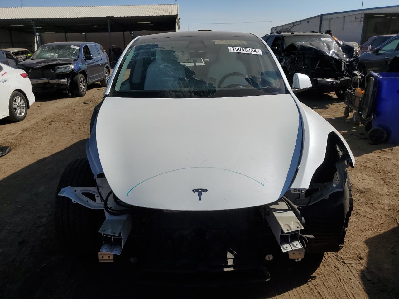 Lot #2924101131 2020 TESLA MODEL Y