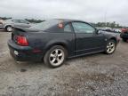 Lot #3024292870 1999 FORD MUSTANG