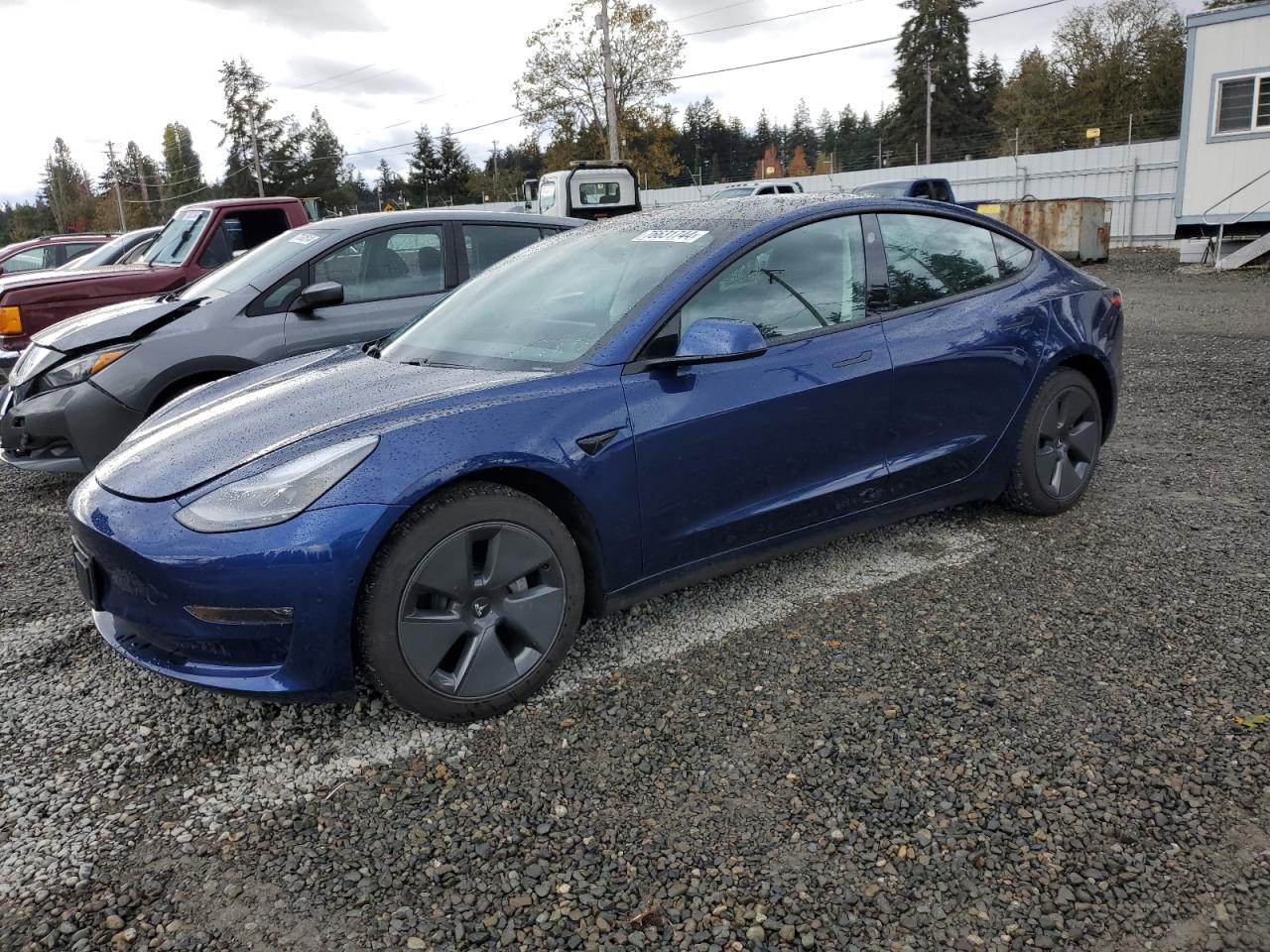 Lot #2991238103 2021 TESLA MODEL 3