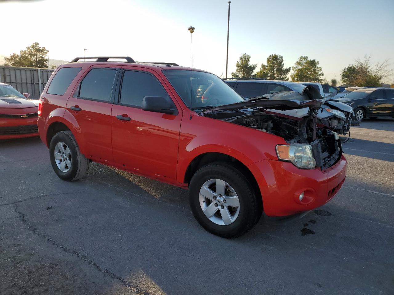 Lot #2972533922 2009 FORD ESCAPE XLT