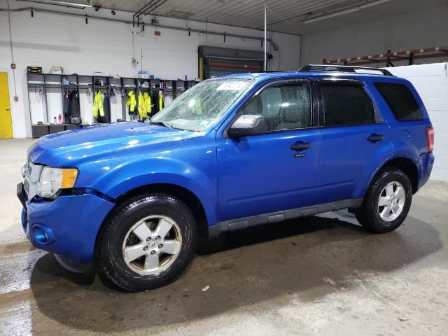 Vin: 1fmcu9dg9bkb17348, lot: 53231405, ford escape xlt 2011 img_1