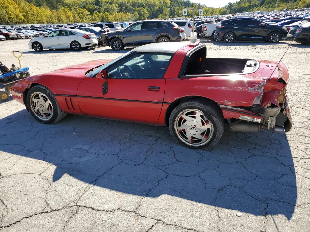 Lot #2955507496 1989 CHEVROLET CORVETTE