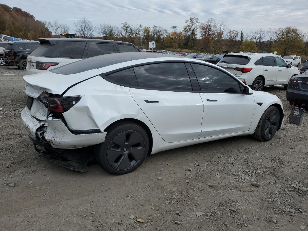 Lot #2994088389 2022 TESLA MODEL 3