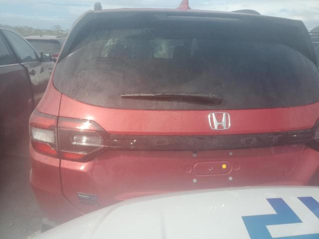 2025 HONDA PILOT TRAI 5FNYG1H68SB013970