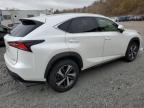 Lot #3024155833 2020 LEXUS NX 300