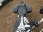 Lot #3027264277 2005 HARLEY-DAVIDSON XL1200 C