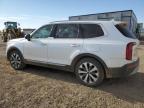 Lot #3024987129 2020 KIA TELLURIDE