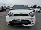 KIA SOUL + photo