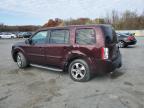 HONDA PILOT EXL photo