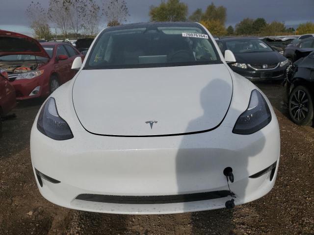 2024 TESLA MODEL Y - 7SAYGDEE0RA296453