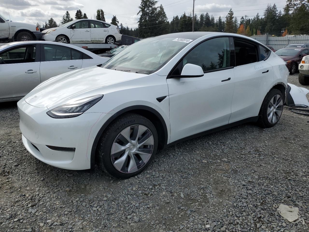 Tesla Model Y 2020 