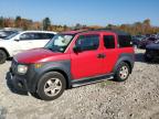 Lot #2991112207 2005 HONDA ELEMENT EX