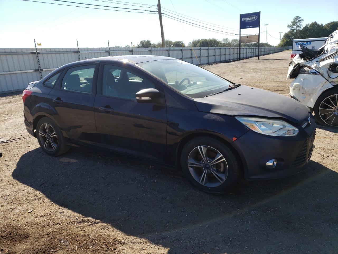 Lot #2895659936 2014 FORD FOCUS SE