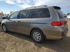 HONDA ODYSSEY LX photo